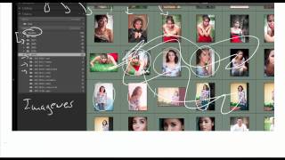 Que son los catalogos de lightroom [upl. by Nnaid]