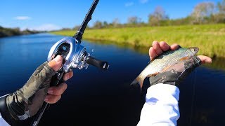 Fishing With Wild Shiners for Big Bass Stick Marsh  Jiggin With Jordan [upl. by Brocky]