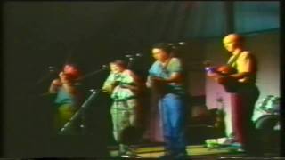 Dave Swarbrick amp Whippersnapper  Foolish  Whenever [upl. by Anirual572]