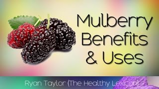 Mulberries Benefits amp Uses [upl. by Haeluj841]