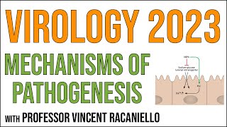 Virology Lectures 2023 15 Mechanisms of pathogenesis [upl. by Wurtz]