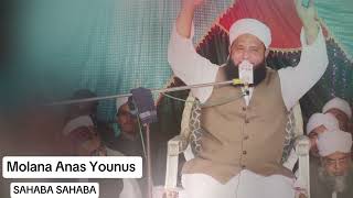 AnasYounus  Nasheed  Sahaba sahabah  faislabad program [upl. by Alliuqal]