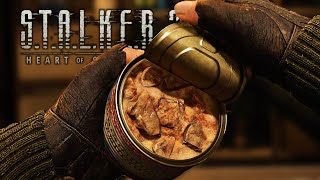 Stalker 2  All FoodDrinksHealling Animations  4K [upl. by Humo]