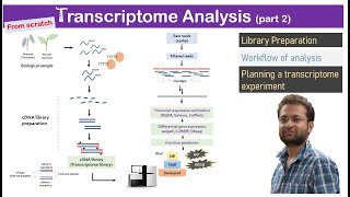 Transcriptome analysis Learn library preparation and data analysis from scratch [upl. by Murdock]