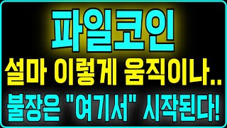 파일코인 설마 이렇게 움직이나 불장은 quot여기서quot 시작된다 [upl. by Ecirahc]