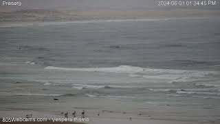 Pismo Beach Classic Car Show 2024  805 Webcams recap [upl. by Malory]