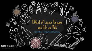 Pink Milk Experiment The Effect Lipase Enzyme and Bile on Milk by Mr T [upl. by Sang]