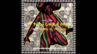 A Tribe Called Quest X OutKast • Skew It On The Scenario Nappy DJ Needles blend [upl. by Hills]