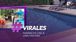 Viral tras recibir una serenata mariachi cae a una piscina en plena entrada musical  Canal 1 [upl. by Hsuk]