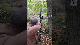 32 Yard Shot on the Rinehart 3d Bobcat Target  Black Widow PSAX Carbon Rig [upl. by Lyndon297]