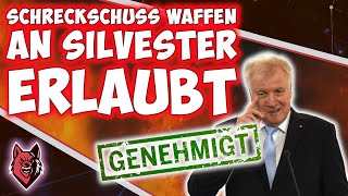 💥🚧 Schreckschuss Waffen an Silvester in Deutschland erlaubt II Das müsst ihr beachten  🚧💥 [upl. by Celestyn]