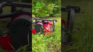 agrotech agrotechnology grass orchard gardening [upl. by Engamrahc89]