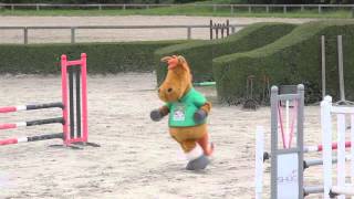 Alltech FEI WEG 2014  Fan of Eventing [upl. by Ahsinam693]