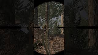 Playing as a long range stealth sniper in squad shorts 22 [upl. by Crispas178]