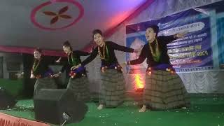 Sannani Timi Bina Jindagi JannaniCover Dance by Himali Saskritik Pariwar [upl. by Noirad]