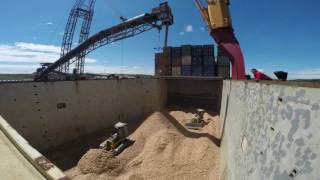 mv Hollandia loading woodchips in Sheet Harbour [upl. by Arocet]