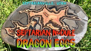 Septarian Nodule Rockhounding Utah [upl. by Anwahsat]