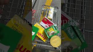 Grocery Shopping groceryshopping groceryhaul grocery [upl. by Dannie942]