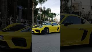 Porsche GT4 RS fypシ゚viral foryou porsche porschegt4 [upl. by Jarv659]