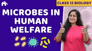 Microbes in Human Welfare Class 12  NCERT Chapter 10  CBSE NEET  One Shot [upl. by Erdnaed842]