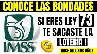 🔥NOTICIA IMPORTANTE PENSION IMSS💥Si Eres Ley 73 ADULTO MAYOR TE SACASTE LA LOTERÍA [upl. by Ahsaelat]