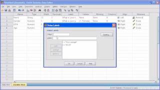 13b Define Variable PASW SPSS Statistics v17 video [upl. by Matheson]