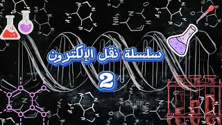 سلسلة نقل الإلكترون 2 Electron transport chain [upl. by Anuahsed]