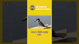 🤨🤔😏 O melhor PESCADOR  DE VISTA [upl. by Cirdek]