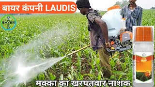 Bayer laudis herbicide with proof  Bayer laudis  laudis kharpatwar nashak  Tembotrione 42 SC [upl. by Aztiraj78]