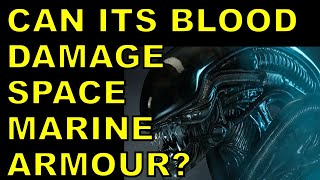 Can Xenomorphs Survive The Warhammer 40k Universe [upl. by Palmira]