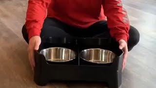 3 in 1 Elevated Dog Bowls Mess Proof Raised Slow Feeder Dog Bowls Review [upl. by Sweet]