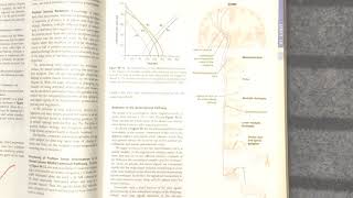 Guyton Chapter 48  Anterolateral Pathway  Anatomy and Physiology [upl. by Ahsyat281]