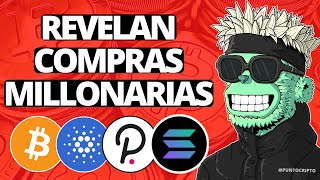 ✅SE ESTÁN PREPARANDO😱Noticias Criptomonedas HOYBitcoin Cardano XRP Polygon Polkadot Solana Toncoin [upl. by Yniffit693]