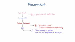 Polio  Clinical Presentations [upl. by Oralla]