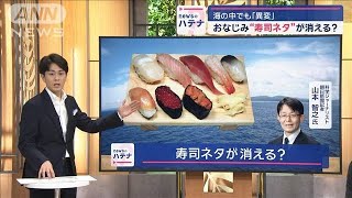 海の異変でおなじみの“すしネタ”が消える？ 専門家に聞く「未来予想図」【スーパーJチャンネル】2024年8月2日 [upl. by Luz]