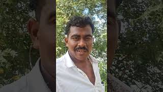 tamiltrending tamilsong tamil kanyakumari kanyakumarislang kanyakuma [upl. by Jepum795]