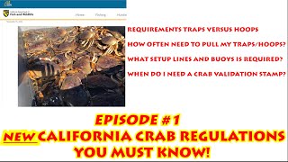 Crab Traps Versus Hoops New CA CRAB Regulations You MUST Know [upl. by Aleydis]