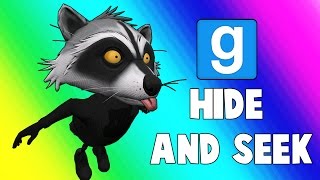 Gmod Hide and Seek  Racoon Bird Garrys Mod [upl. by Finkelstein]