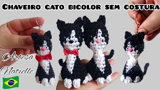 Chaveiro Gato Amigurumi Sem Costura  Bicolor [upl. by Ariem]