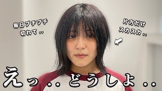 【絶望】ブリーチ9回して髪ブチブチ切れた ダメージ復活の大変身？！ [upl. by Selij570]