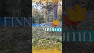 FINLAND  Finnish Autumn  Exploring nearby Forest  Espoo highlightseveryone fypシ fyp everyone [upl. by Eralcyram]