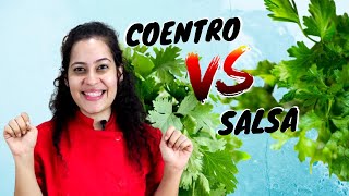 COENTRO X SALSA  Como escolher e quais as diferenças  Ervas e Especiarias 2 [upl. by Lairea]