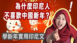 印尼人討厭中國農曆新年？｜華人拜拜紅包煙火舞獅習俗｜實用新年印尼文 繁简字幕 [upl. by Ateekal]