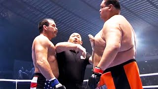 Don Frye USA vs Taro Akebono USA  MMA fight HD [upl. by Melia239]