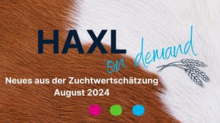 HAXL on demand  ZWS August 2024 [upl. by Warner402]