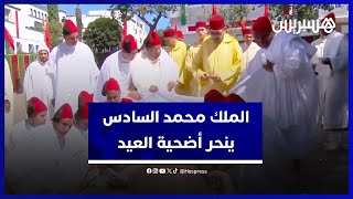 الملك محمد السادس ينحر أضحية العيد بمسجد الحسن الثاني في تطوان‎ [upl. by Sand]