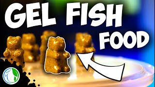 DIY GEL FISH FOOD  HOMEMADE REPASHY GUMMY BEAR FISH FOOD [upl. by Gregson]