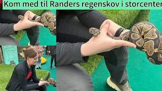 Randers Regnskov🇩🇰پارک جنگل بارانی در سنتر🫢 [upl. by Nnainot]