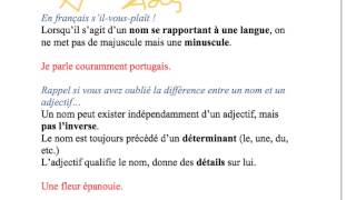 Orthographe des noms et adjectifs de nationalité en français  FLE [upl. by Mallon]