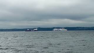 Seatruck panorama and stena edda passing on Belfast lough [upl. by Wrennie]